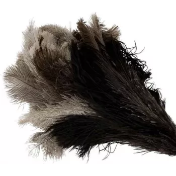 Bürstenhaus Redecker Ostrich Feather Duster with Medium Head, Beechwood Handle, 50 cm 468807