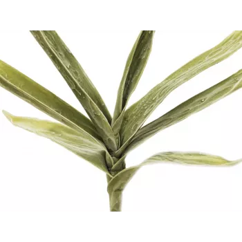 Ramură artificială de Yucca EUROPALMS (EVA), verde 82531063