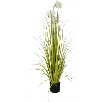 Plantă artificială EUROPALMS Allium Grass, alb, 120 cm 82600169