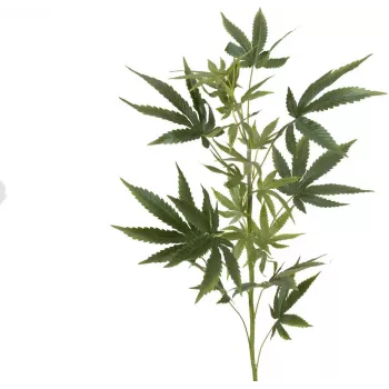 Ramură artificială de cânepă EUROPALMS, 90cm, verde 82506699