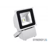 Proiector LED de exterior SYNERGY21 S21-LED-TOM01157 80W carcasă gri alb rece V3
