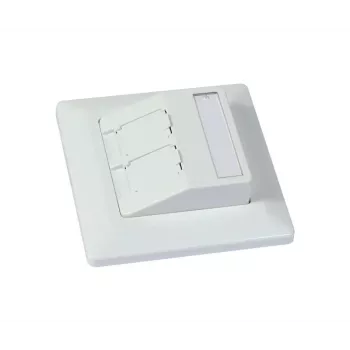 Suport modul keystone SYNERGY21 de îngropat pentru modul 2xTP alb pur rotund S216330V3