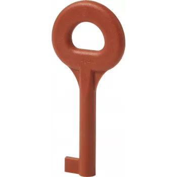 Cheie de schimb Siemens DMZ1195 pentru întrerupătoare de siguranță 3SE5 (BPZ:4851910001)