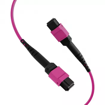 Cablu patch EFB Elektronik MPO-PLUS(F)-MPO-PLUS(F) OM4 12 fibre tip B LSZH, violet erika, 20 m MPOF12MPOFOM4-20