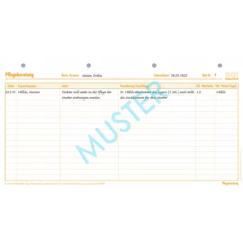 Formulare de consultanță pentru îngrijire BOI, 50 file, DIN A4 (9206-00281)
