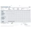Formulare BOI Leistungsnachweis Krankenkasse SGB V, 50 file, A4, alb 9206-00329
