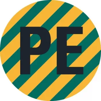 Etichetă de identificare a conductorului PE HEIN 172023, PET, autocolantă, galben/verde, 4 x 12 mm, 1000 etichete pe rolă