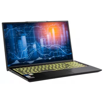Notebook Captiva Business/Office I10-1443GE 17,3 inch - Intel Core i5-1335U, 64 GB RAM, 1 TB SSD, Windows 11 Pro