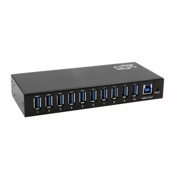 Hub USB 3.2 Gen 1 cu 10 porturi EXSYS EX-11290HMS cu sursă de alimentare 12V/5A
