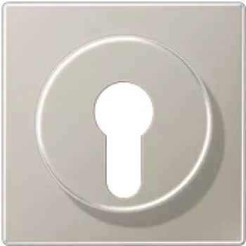 Capac JUNG ES 2928 pentru întrerupător cu cheie cu protecție la demontare, seria LS, oțel inoxidabil