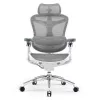 Scaun ergonomic de birou din mesh Sihoo DORO C300 Pro alb