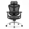 Scaun ergonomic de birou SIHOO DORO C300 Pro din mesh, negru