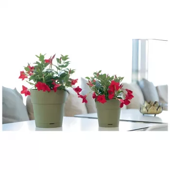 STEFANPLAST Flower Pot with Tray Ethica Ø40x39cm Green