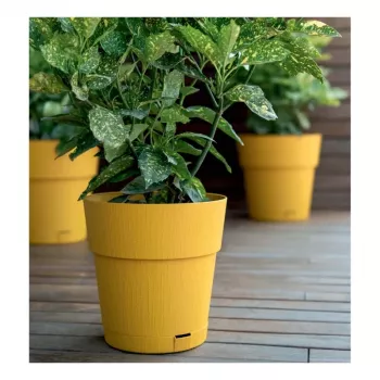 Ghiveci cu farfurioară STEFANPLAST Ethica Ø20x19cm galben muștar
