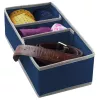 Cutie cu compartimente ORDINETT M 30,5 x 15,5 x 10 cm, albastru