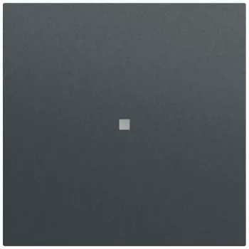 Buton basculant Gira System 70 cu fereastră de control, antracit (329073)