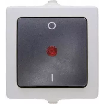 Întrerupător de suprafață unipolar HEINRICH KOPP Nautic, IP44, gri, 10A 250V AC 565296007