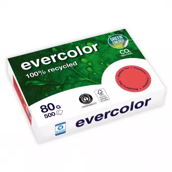 Hârtie multifuncțională Clairefontaine EVERCOLOR 40259C A4 80 g/m² albă 500 coli