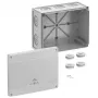 Cutie de derivație Spelsberg Abox Pro 250-L, IP66/IP67/IP69, 42540001