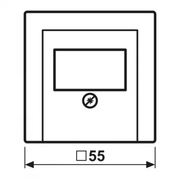 Capac Jung A 569 PLT CH pentru priză de telecomunicații TAE, șampanie