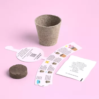 Resetea My First Crops – Flower Growing Set (Erst441)