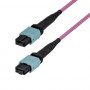 Cablu patch din fibră optică multimod MTP/MPO-12 StarTech.com OM4MTP12BOFNP2M (2 m)